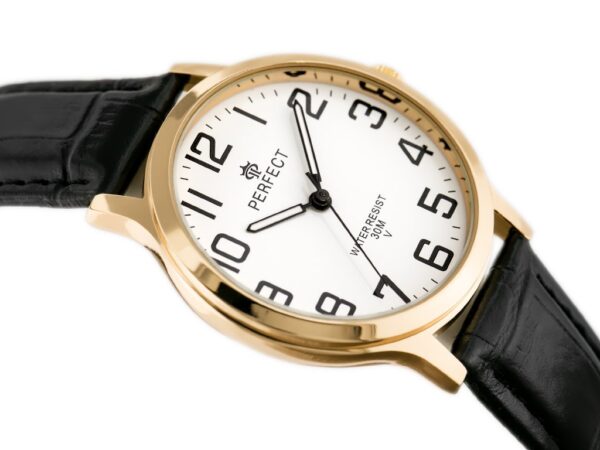 pol_pl_ZEGAREK-MESKI-PERFECT-KLASYKA-A4022-G-zp256b-10540_2