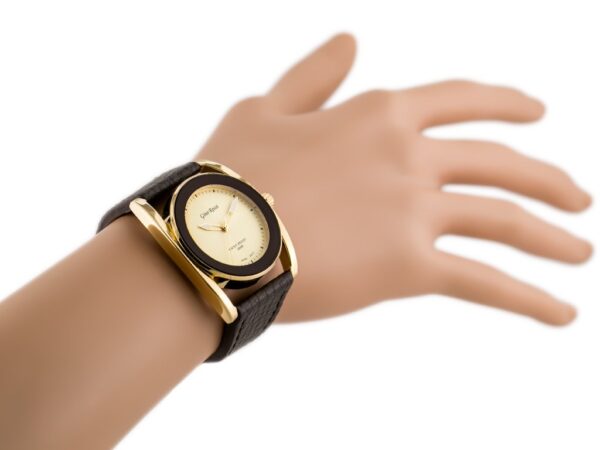 pol_pl_ZEGAREK-GINO-ROSSI-LACOSTINA-zg620b-BOX-1654_4