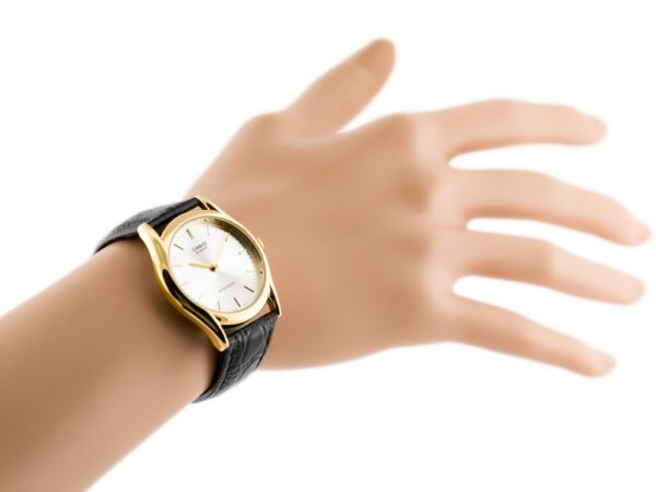 pol_pl_ZEGAREK-MESKI-CASIO-MTP-1094Q-7A-zd078a-9575_2