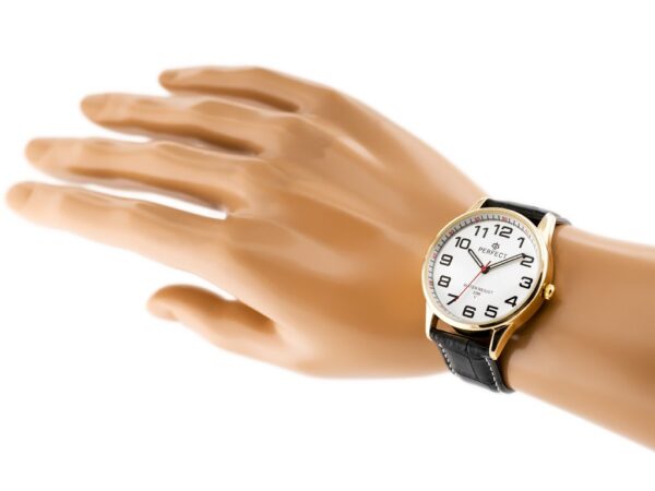 pol_pl_ZEGAREK-MESKI-PERFECT-KLASYKA-zp253b-10532_2